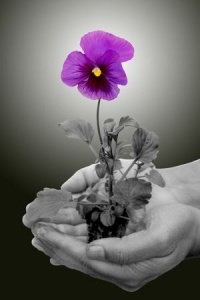 mindfulness massage at the stillpoint