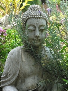 Garden Buddha at The Stillpoint Maleny