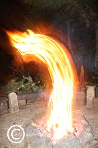 Fire Elemental at Eagles Reach Sanctuary Maleny